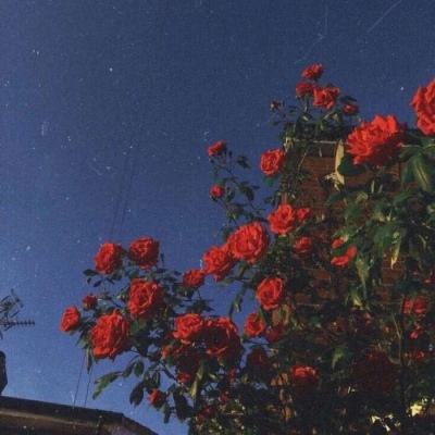 英国、欧盟和瑞士发布T+1结算测试计划，为明年实施铺路